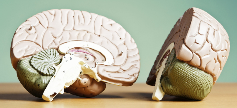 Rustig moment van vertraging en reflectie, symbool voor gedragsverandering die begint bij veiligheid en regulatie van het zenuwstelsel.