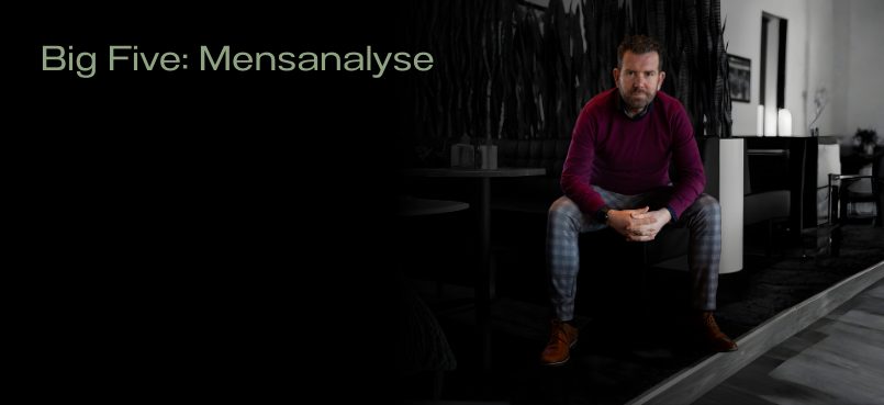 Rogier Stam bij artikel over de Big Five en persoonlijkheidsstructuur onder gedrag.