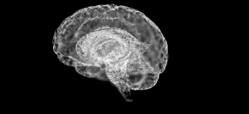 Je brein ziet niet wat er is. Het maakt er een verhaal van. Zit in een zwarte box en heeft zintuigen nodig om te snappen.